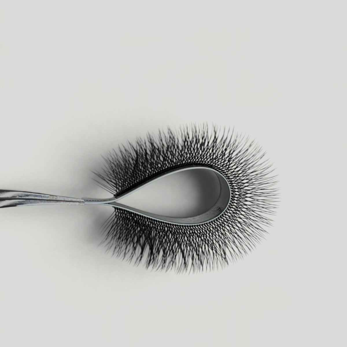 Boitiers 4YY – MG Lashes – photo 2