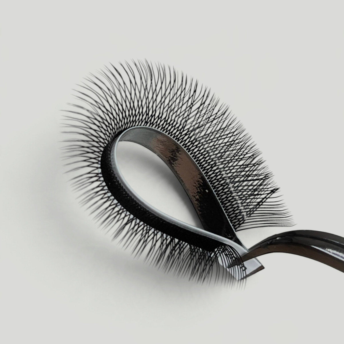 Boitiers YY – MG Lashes – photo 2