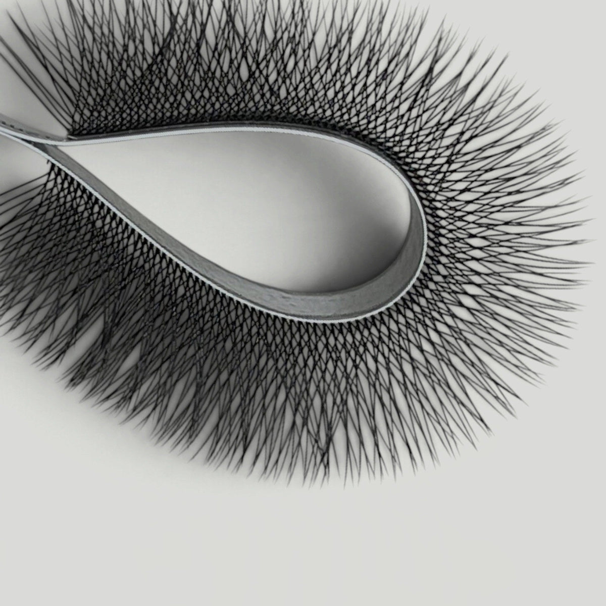 Boitiers 4YY – MG Lashes – photo 4