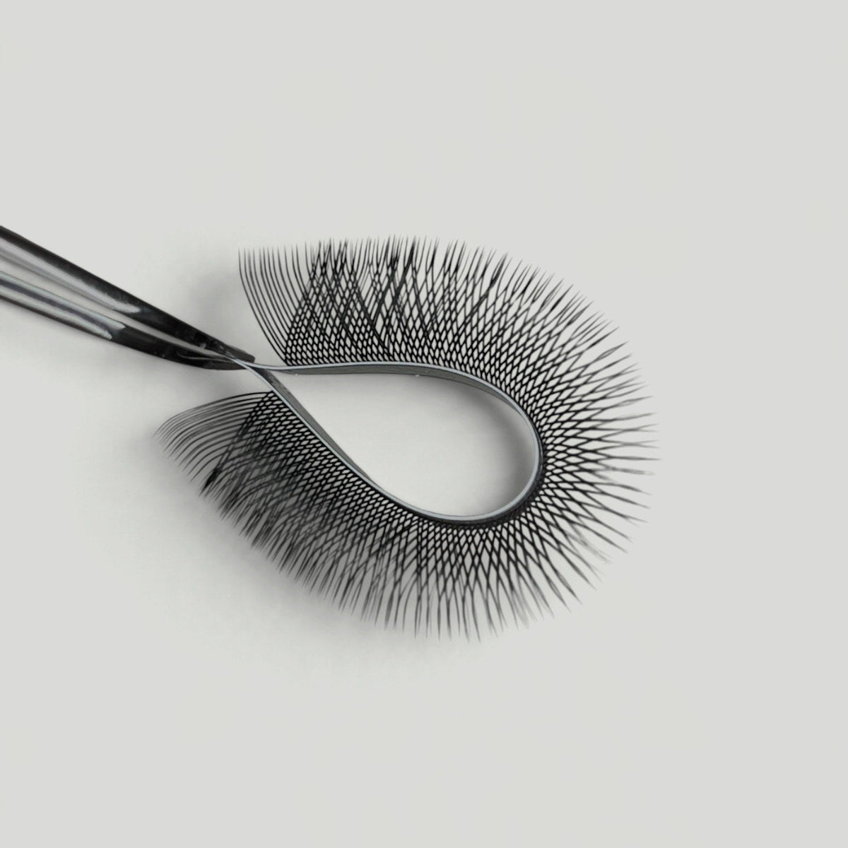 Boitiers YY – MG Lashes – photo 3