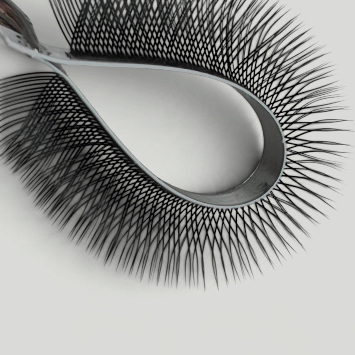 Boitiers YY – MG Lashes – photo 4