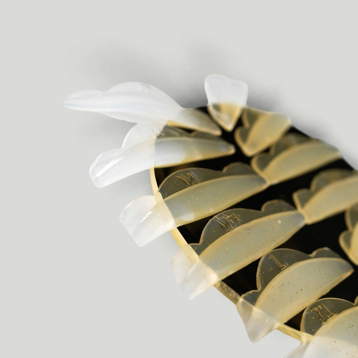 JELLY FLEX 3.0 pads (C curve) (12 pcs)