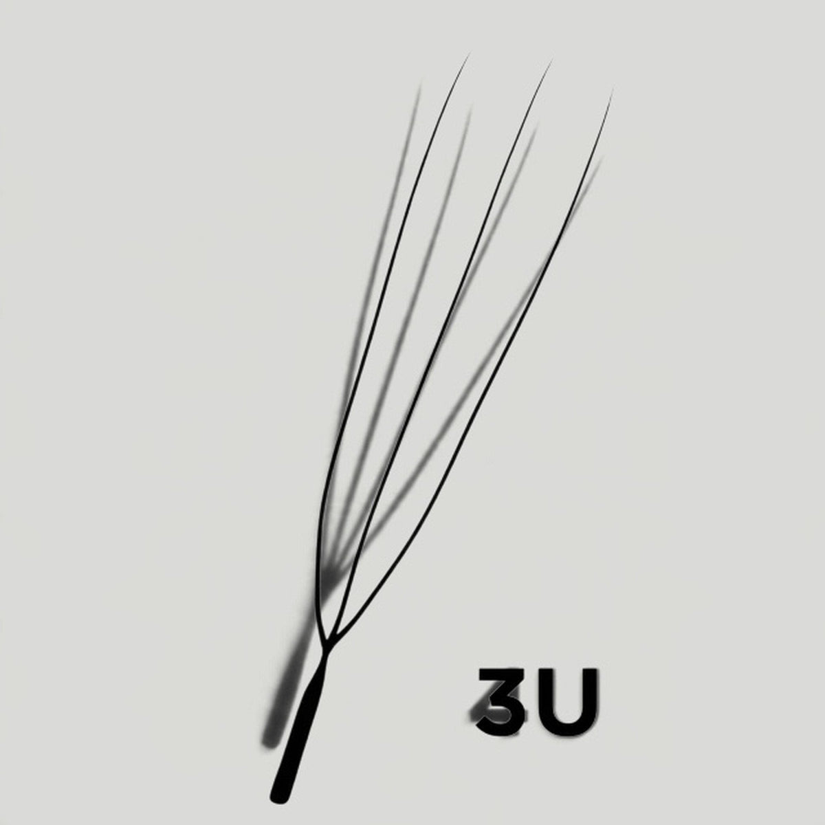 Collection 3U – Lashes by Tini – photo 2