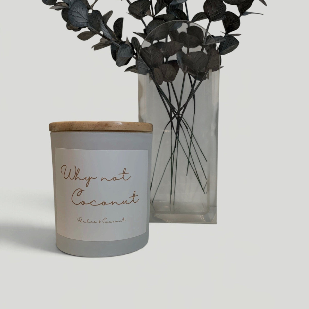 Why Not Coconut – Caprice & Co